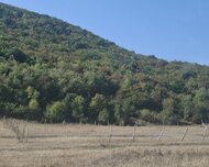 Şamaxı ş., Torpaq , 3 otaq