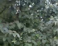 Xaçmaz ş., Torpaq , 3 otaq