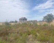 Abşeron rayonu , Saray qəs., 1 otaq