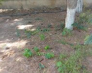 Sabunçu rayonu , Bakixanov qəs., 2 sot