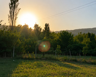 İsmayıllı ş., Torpaq , 50 sot