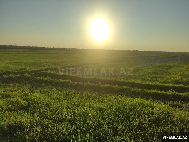 Göyçay şəhərində Torpaq Satılır, 326 sot Göyçay şəhərində Torpaq Satılır, 326 sot