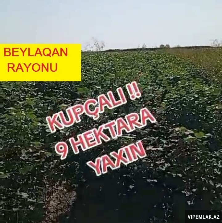 Beyləqan şəhərində Torpaq Satılır, 8 sot Beyləqan şəhərində Torpaq Satılır, 8 sot