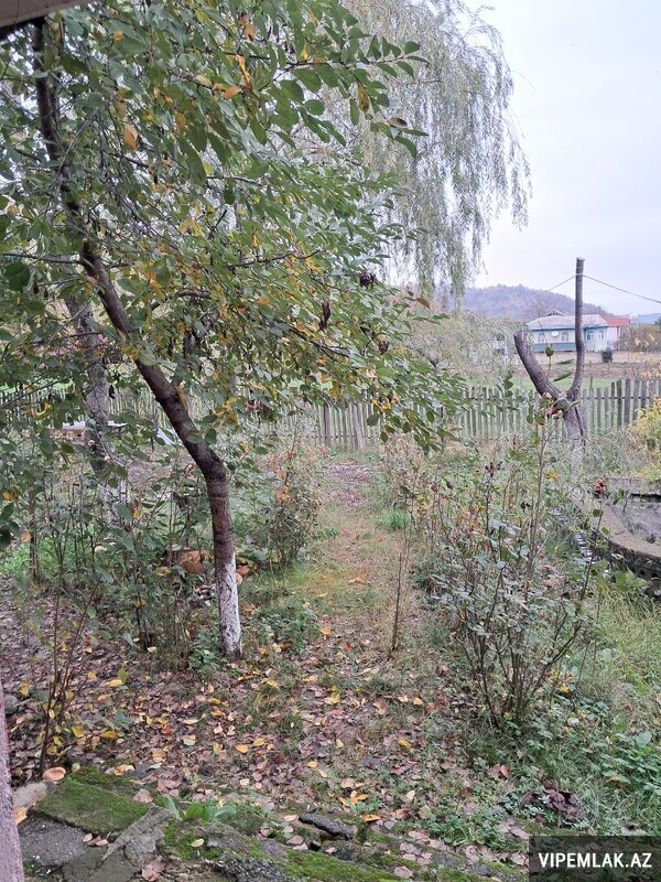 Quba şəhərində 9 otaqlı Obyekt / Ofis Satılır, 140 m² Quba şəhərində 9 otaqlı Obyekt / Ofis Satılır, 140 m²