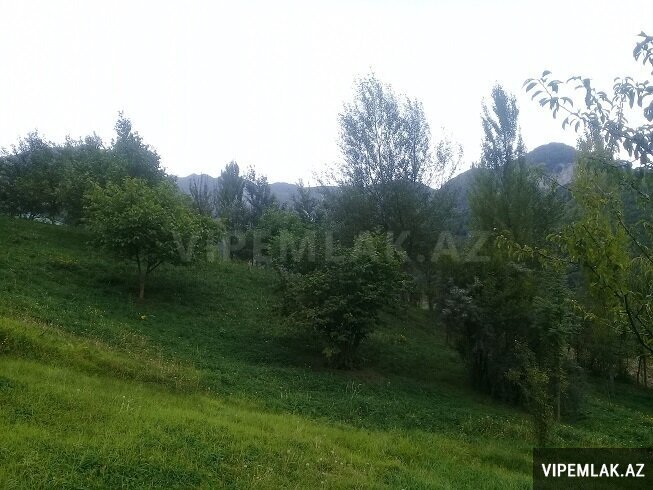 İsmayıllı şəhərində 1 otaqlı Torpaq Satılır, 16 sot İsmayıllı şəhərində 1 otaqlı Torpaq Satılır, 16 sot