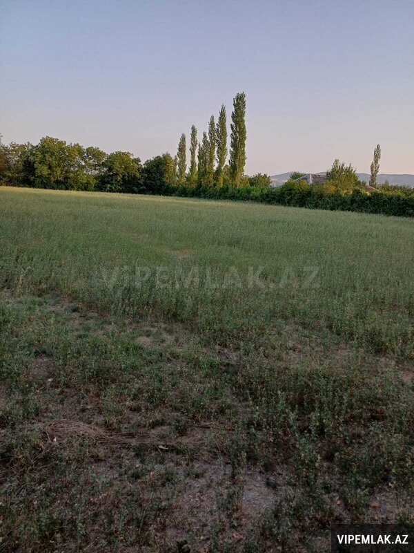 Şəki şəhərində Torpaq Satılır, 80 sot Şəki şəhərində Torpaq Satılır, 80 sot