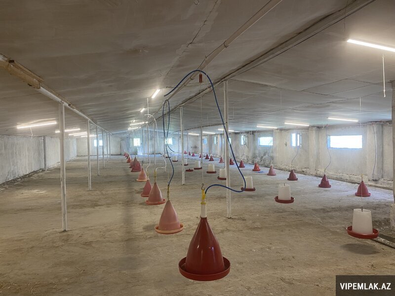 Salyan şəhərində 5 otaqlı Obyekt / Ofis Satılır, 550 m² Salyan şəhərində 5 otaqlı Obyekt / Ofis Satılır, 550 m²