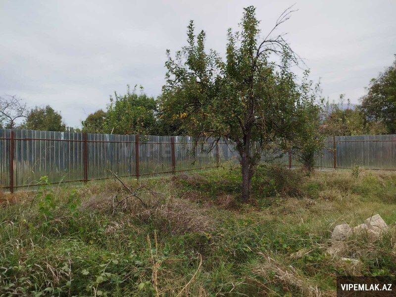 İsmayıllı şəhərində 2 otaqlı Torpaq Satılır, 4 sot İsmayıllı şəhərində 2 otaqlı Torpaq Satılır, 4 sot