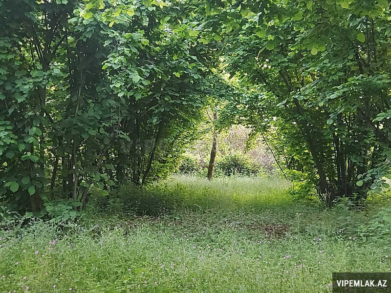 Qəbələ şəhərində Torpaq Satılır, 12 sot Qəbələ şəhərində Torpaq Satılır, 12 sot