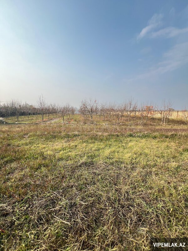 Göyçay şəhərində Torpaq Satılır, 64 sot Göyçay şəhərində Torpaq Satılır, 64 sot