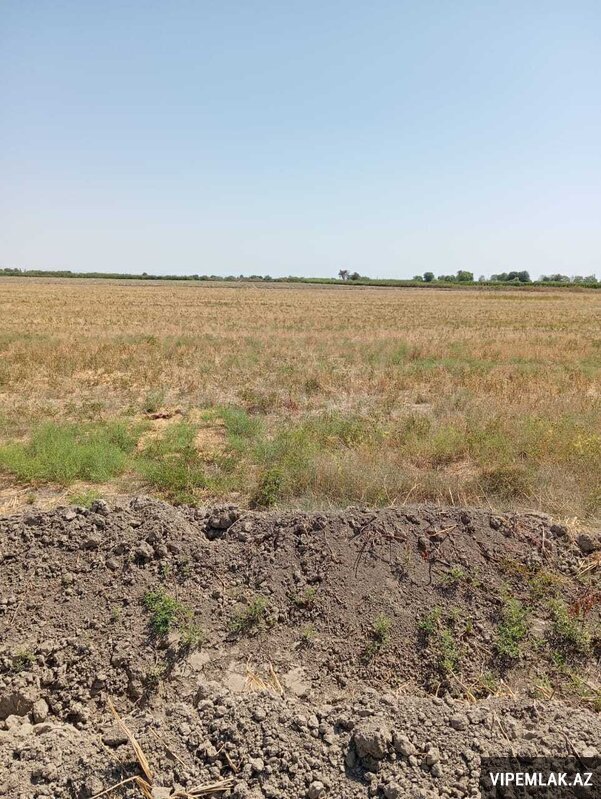 Kürdəmir şəhərində Torpaq Satılır, 351 sot Kürdəmir şəhərində Torpaq Satılır, 351 sot