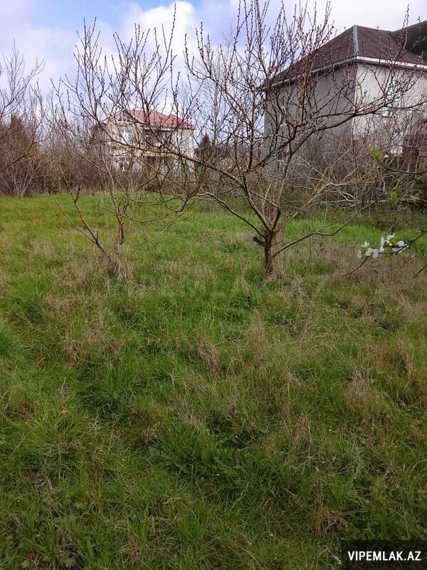 Lənkəran şəhərində 6 otaqlı Torpaq Satılır, 6 sot Lənkəran şəhərində 6 otaqlı Torpaq Satılır, 6 sot