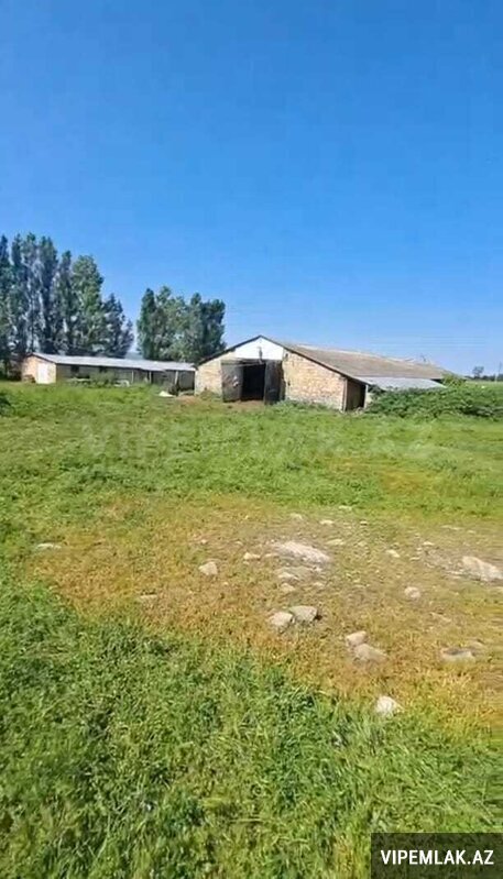 İsmayıllı şəhərində 3 otaqlı Obyekt / Ofis Satılır, 300 m² İsmayıllı şəhərində 3 otaqlı Obyekt / Ofis Satılır, 300 m²