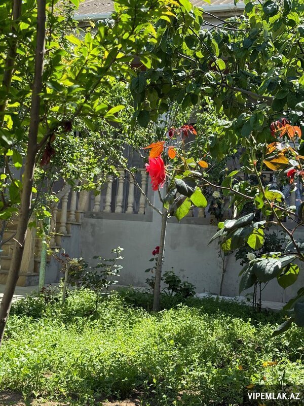 Xəzər rayonunda 3 otaqlı Həyət evi Kirayə verilir, 150 m² Xəzər rayonunda 3 otaqlı Həyət evi Kirayə verilir, 150 m²