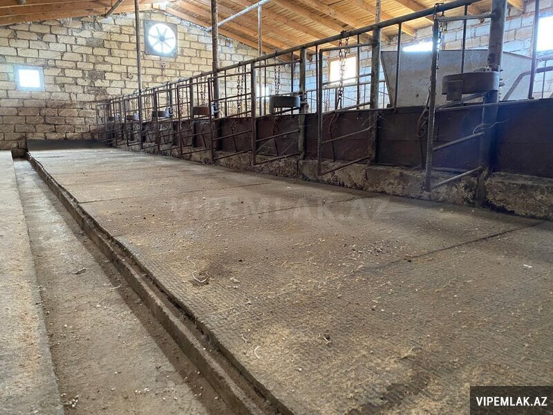 Saatlı şəhərində 7 otaqlı Yeni tikili Satılır, 11000 m² Saatlı şəhərində 7 otaqlı Yeni tikili Satılır, 11000 m²