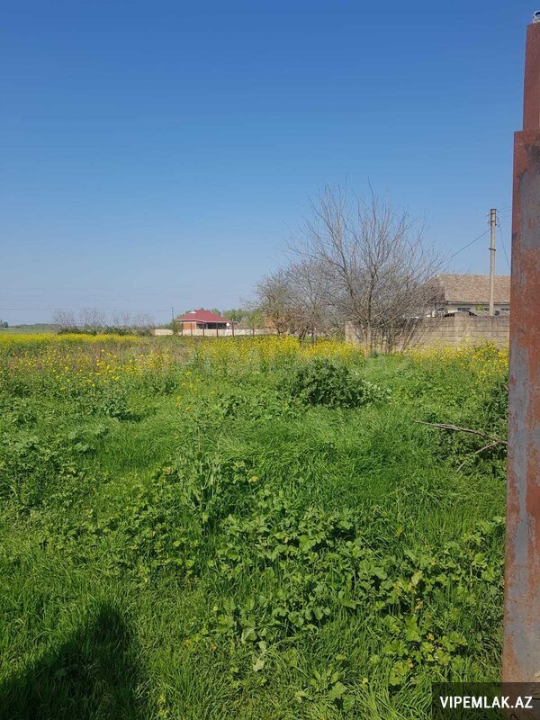 Masallı şəhərində 5 otaqlı Həyət evi / Villa Satılır, 251 m² Masallı şəhərində 5 otaqlı Həyət evi / Villa Satılır, 251 m²