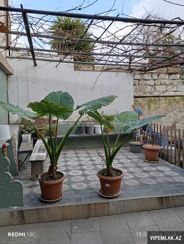 4-room private house for sale, Amirjan, Baku
