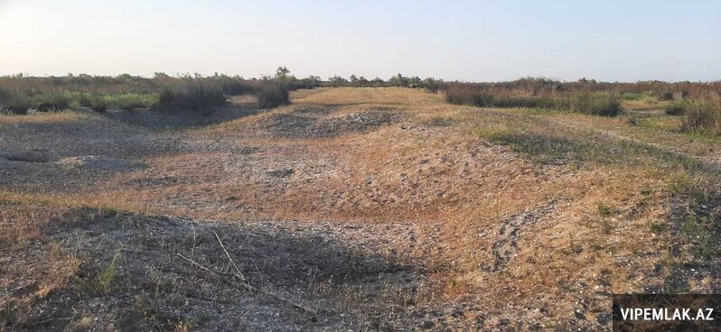 Neftçala şəhərində 1 otaqlı Torpaq Satılır, 2000 sot Neftçala şəhərində 1 otaqlı Torpaq Satılır, 2000 sot